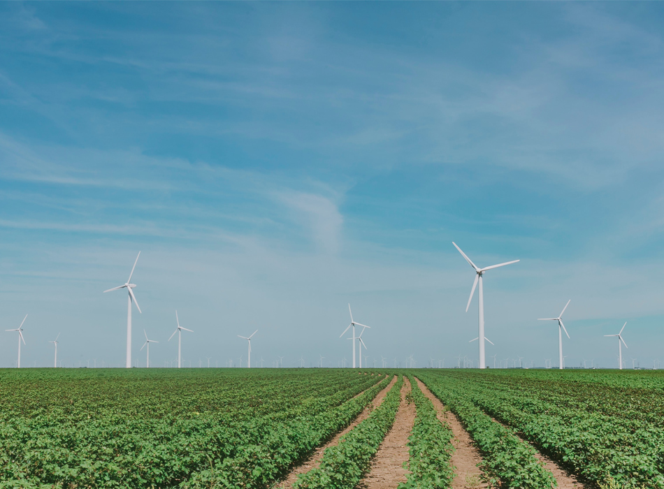 landscape photo of alternative energy source