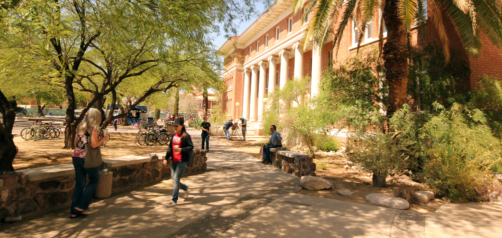 scenic landscape outside of Forbes Building, University of Arizona