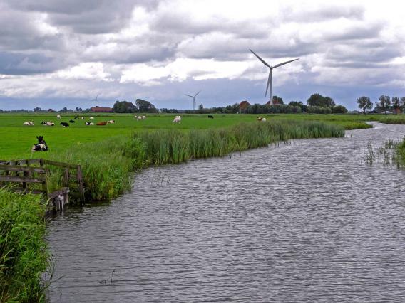 The Dutch countryside