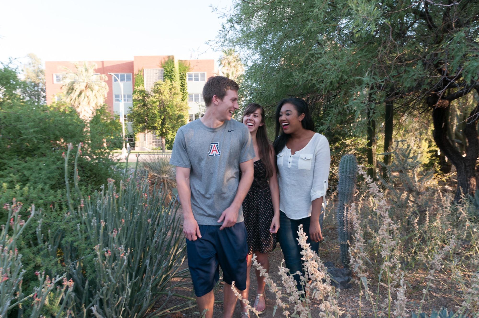 three smiling students walk through cactus garden three smiling students walk through cactus garden, University of Arizona, Tucson