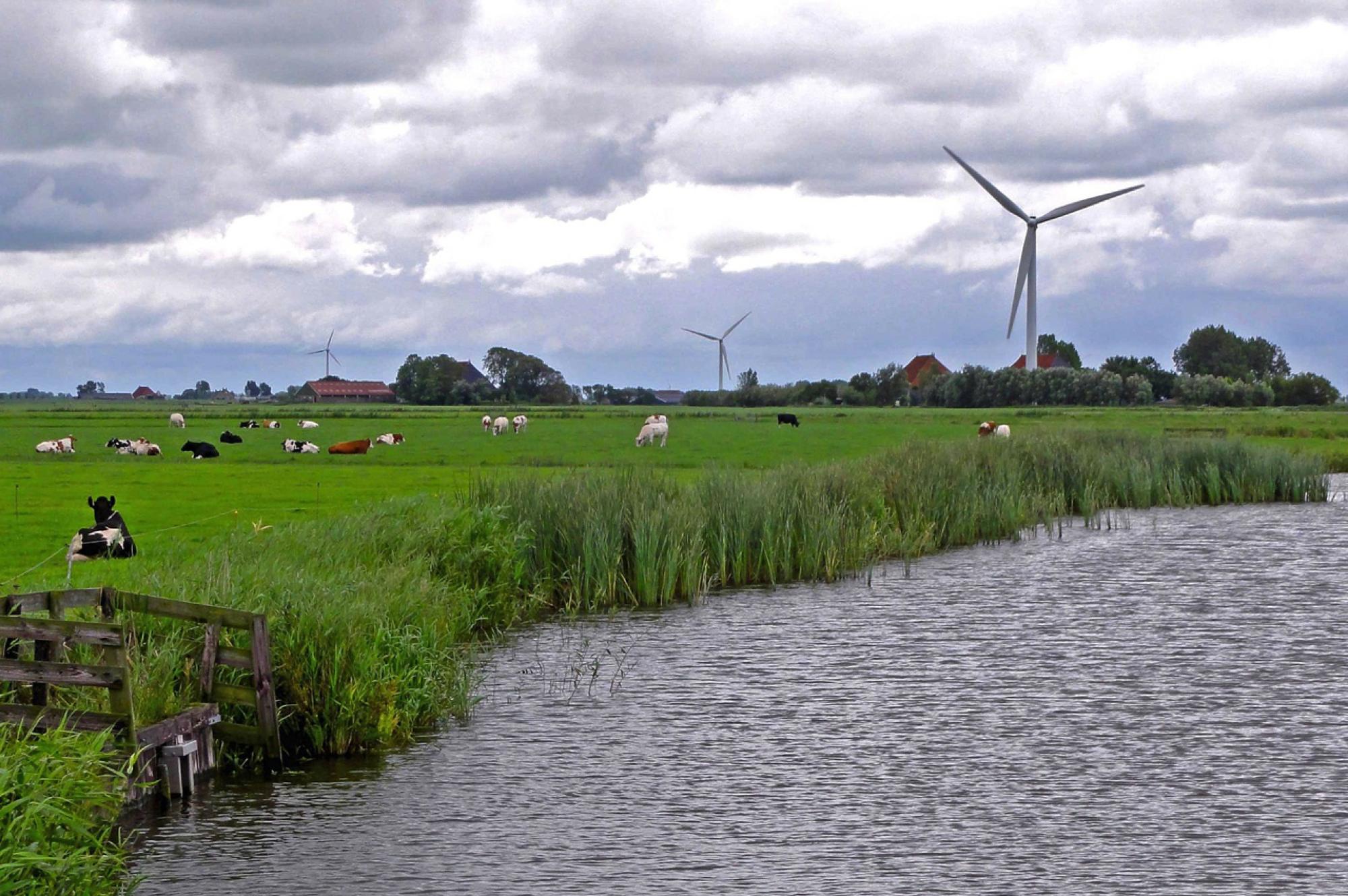 landscape photo of the Netherlands, Environmental and Water Resource Economics, University of Arizona